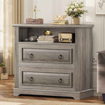Itaar | 2 Drawer File Cabinet Farmhouse Filing Cabinet for Home Office Fits Letter Legal A4 Size Wood Lateral File Cabinet with Printer Stand