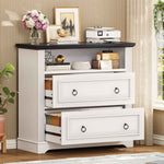 Itaar | 2 Drawer File Cabinet Farmhouse Filing Cabinet for Home Office Fits Letter Legal A4 Size Wood Lateral File Cabinet with Printer Stand